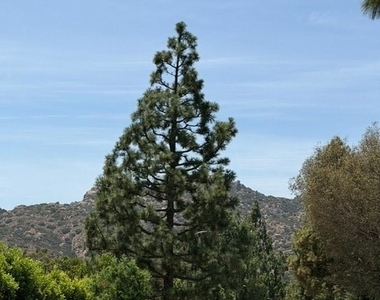 22231 Romar Street - Photo Thumbnail 40