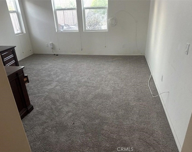 5530 Papagallo - Photo Thumbnail 4