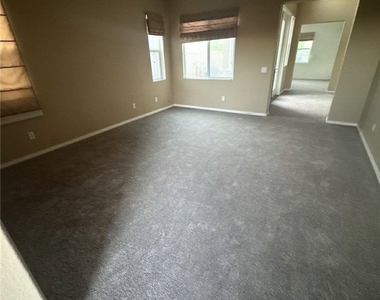 5530 Papagallo - Photo Thumbnail 5