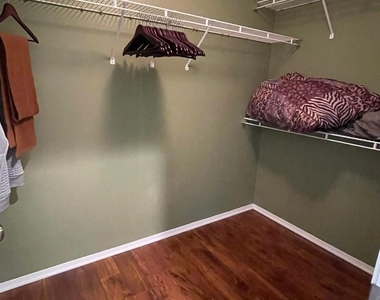 27139 Tube Rose Street - Photo Thumbnail 11