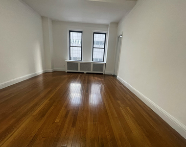 East 46th Street - Photo Thumbnail 3