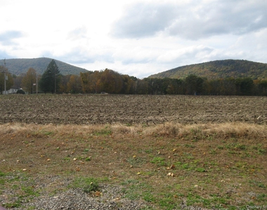 82 Lake Road - Photo Thumbnail 31