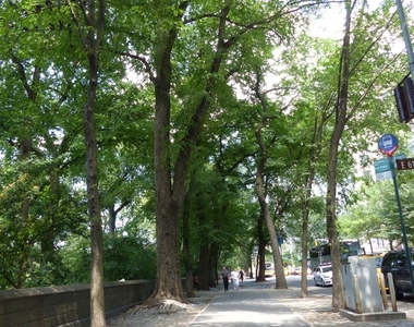 110 E 61st Street - Photo Thumbnail 16
