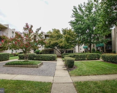 6 Canterbury Square - Photo Thumbnail 24