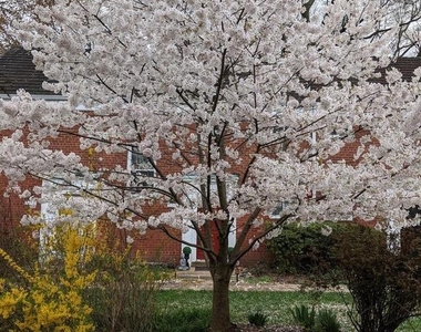 3382 Martha Custis Drive - Photo Thumbnail 27
