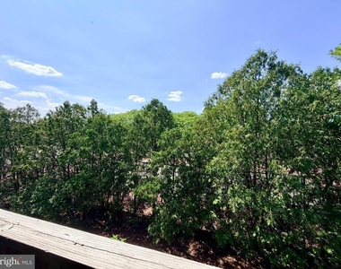 5215 Ravens Crest Drive - Photo Thumbnail 17