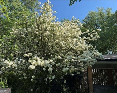 782 Prince Avenue - Photo Thumbnail 33