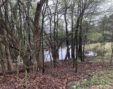 7900 Fm 3136 Road - Photo Thumbnail 14