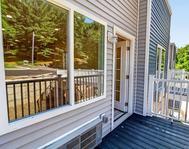 16 Dowd Street - Photo Thumbnail 29