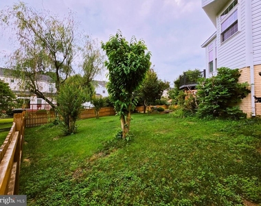 17204 Sumac Court - Photo Thumbnail 47