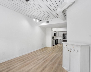 2440 W Horatio Street - Photo Thumbnail 15