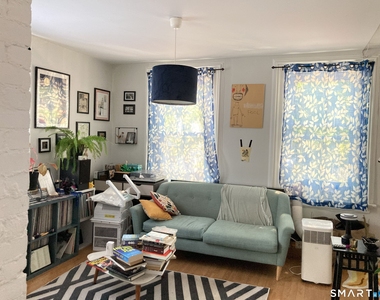 102 Mansfield Street - Photo Thumbnail 5