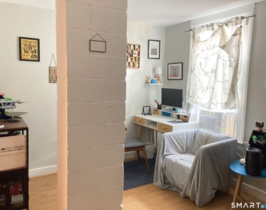 102 Mansfield Street - Photo Thumbnail 11