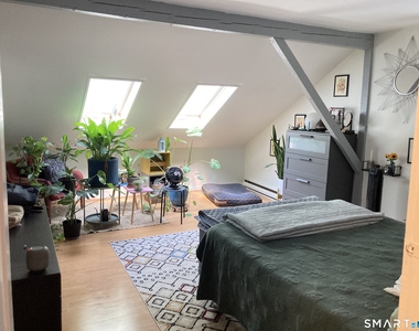 102 Mansfield Street - Photo Thumbnail 9