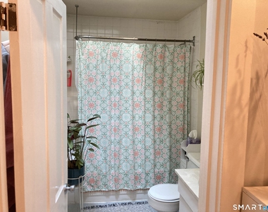 102 Mansfield Street - Photo Thumbnail 8