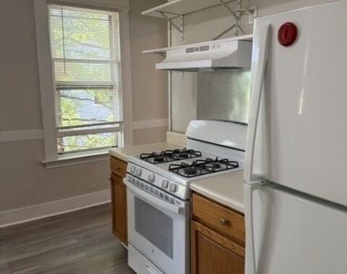 119 Hobart Street - Photo Thumbnail 24