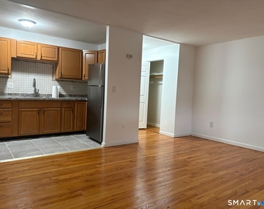 295 Elm Street - Photo Thumbnail 4