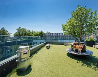 54 Noll Street - Photo Thumbnail 11