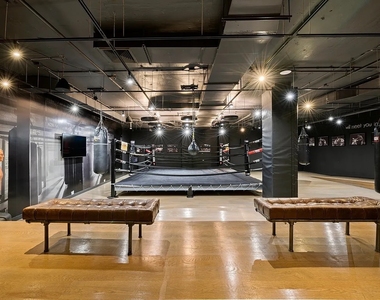 54 Noll Street - Photo Thumbnail 17
