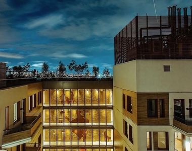 54 Noll Street - Photo Thumbnail 12