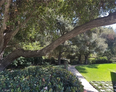 1138 Las Riendas Way - Photo Thumbnail 21