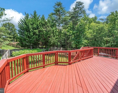 11 Ashley Court - Photo Thumbnail 42