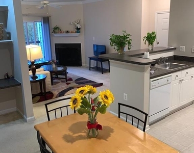 11377 Aristotle Drive - Photo Thumbnail 3