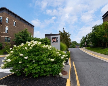 3171 Virginia Bluebell Court - Photo Thumbnail 4