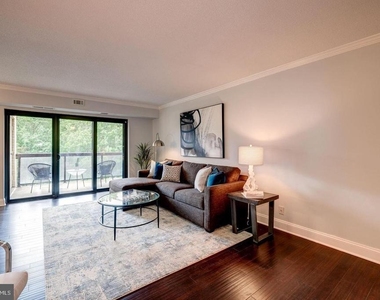 203 Yoakum Parkway - Photo Thumbnail 30