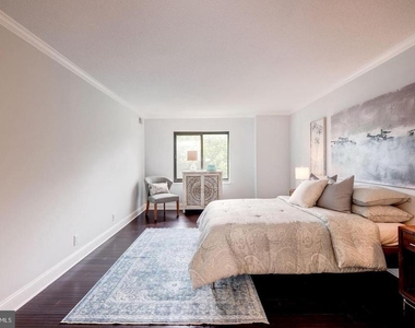 203 Yoakum Parkway - Photo Thumbnail 10