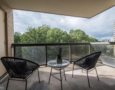 203 Yoakum Parkway - Photo Thumbnail 20