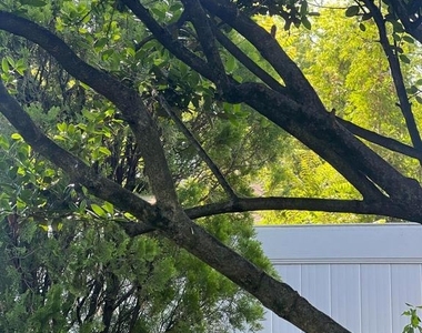 19 Snowden Avenue - Photo Thumbnail 4