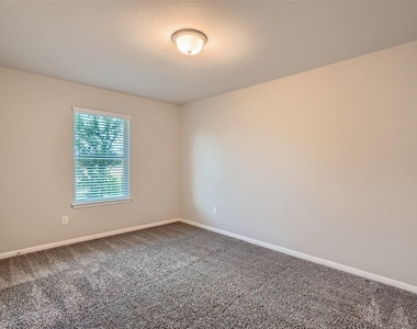 501 Cinnamon Teal Ln - Photo Thumbnail 11