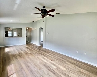 27147 Big Sur Drive - Photo Thumbnail 14