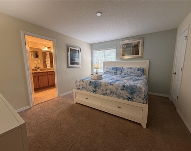 2931 Banana Palm Drive - Photo Thumbnail 22