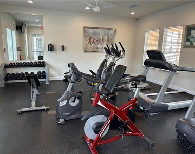 17343 Serenidad Blvd - Photo Thumbnail 19