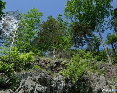342 Heritage Village - Photo Thumbnail 25