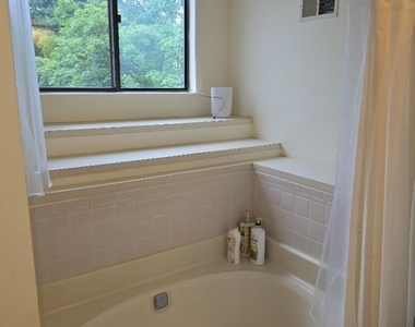 41 Arbor Cir - Photo Thumbnail 19