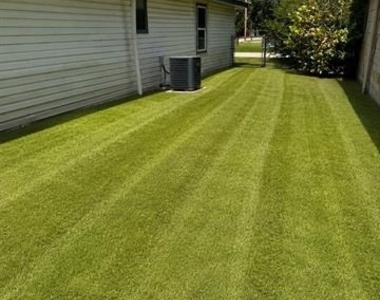 2900 Mirick - Photo Thumbnail 9