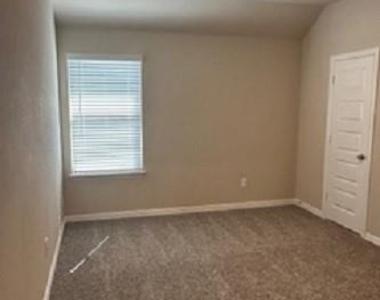 1123 Mesa Street - Photo Thumbnail 18