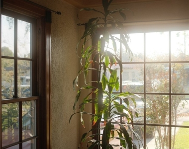 423 S Indiana - Photo Thumbnail 4