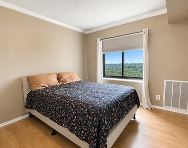 307 Yoakum Parkway - Photo Thumbnail 8