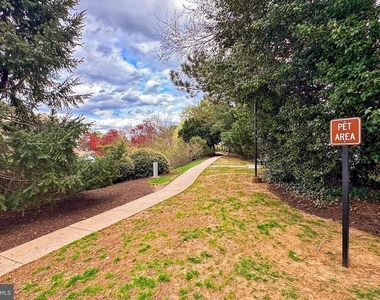 307 Yoakum Parkway - Photo Thumbnail 18