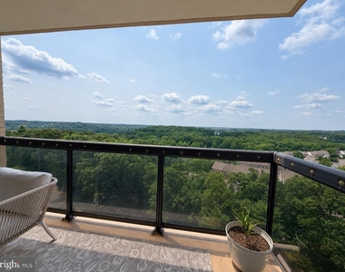 307 Yoakum Parkway - Photo Thumbnail 10