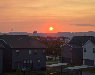 423 Carroll Walk Avenue - Photo Thumbnail 51