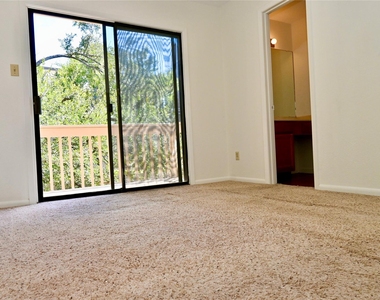 13356 Water Oak Ln - Photo Thumbnail 8