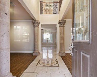 113 Scarlet Oak Cv - Photo Thumbnail 3