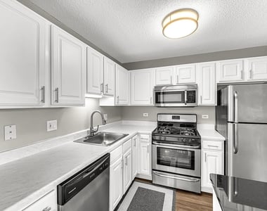 545 N Dearborn Street - Photo Thumbnail 8