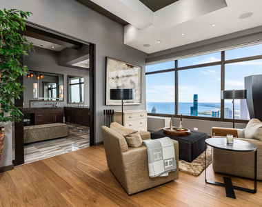 175 E Delaware Place - Photo Thumbnail 46