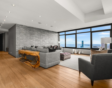 175 E Delaware Place - Photo Thumbnail 5